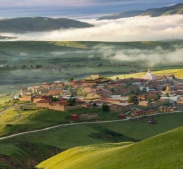 出轨维持无性婚姻 无性婚姻出轨了算过错方吗？