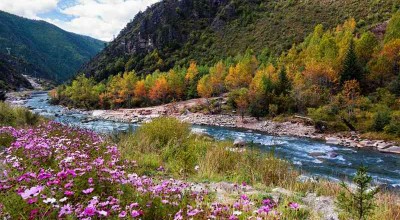 婚姻出轨过错方 婚内出轨过错？