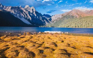 临清婚姻调查中心 山东临清婚姻登记的电话？