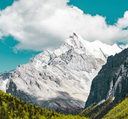 朝阳婚姻调查公司电话 朝阳婚姻调查公司电话是多少？