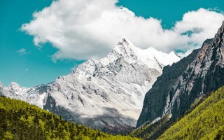 都市出轨小说婚姻危机 都市出轨离婚了小说？