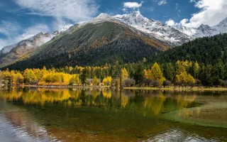 出轨的婚姻校长 出轨的婚姻小说 的结局是什么？