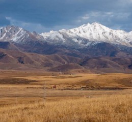 高考调查父母婚姻吗 高考报名会查父母的婚姻吗？