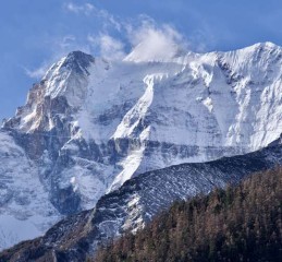 婚姻中出轨为了钱 为了钱出轨的女人真心爱情人吗？