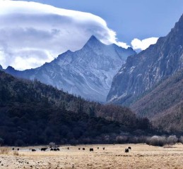 传统女性婚姻现状调查 传统女性婚姻现状调查分析？