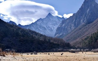 南阳婚姻民俗调查公司 河南南阳婚姻风俗？