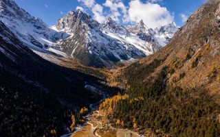 男主角出轨的婚姻 男主出轨的婚恋文？