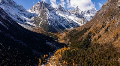 男主角出轨的婚姻 男主出轨的婚恋文？