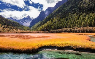 婚姻出轨心累的句子 婚姻出轨文案？