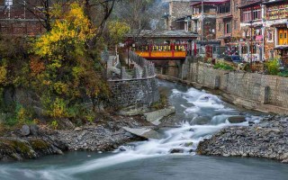 魏县当地婚姻现状调查 魏县婚庆？