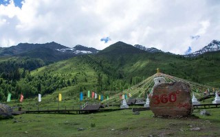 临沭婚姻调查公司 临沂婚姻调解专家？