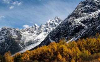 婚姻纪实出轨回头小说 婚姻出轨连续剧？