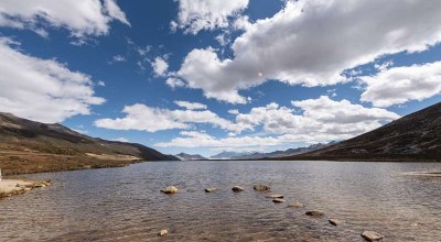 东京婚姻状况调查 东京结婚率？