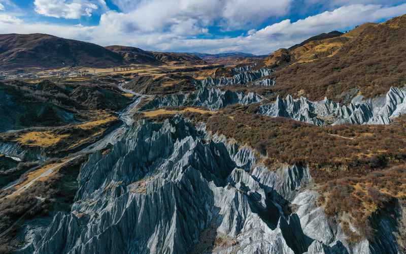 婚姻调查宣传文案 婚姻 调查？-第1张图片-知姻爱情顾问