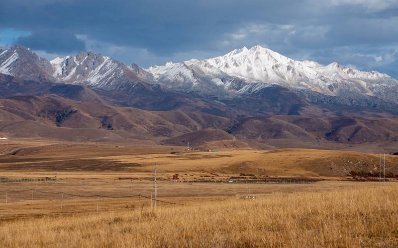 天津婚姻出轨法律电话 天津婚姻律师电话咨询？-第2张图片-知姻爱情顾问