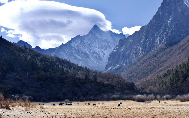 婚姻中肉体出轨 婚姻中肉体出轨怎么办？-第3张图片-知姻爱情顾问