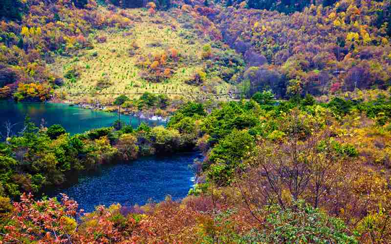 婚前出轨有助婚姻稳定 婚前出轨还要结婚吗？-第1张图片-知姻爱情顾问