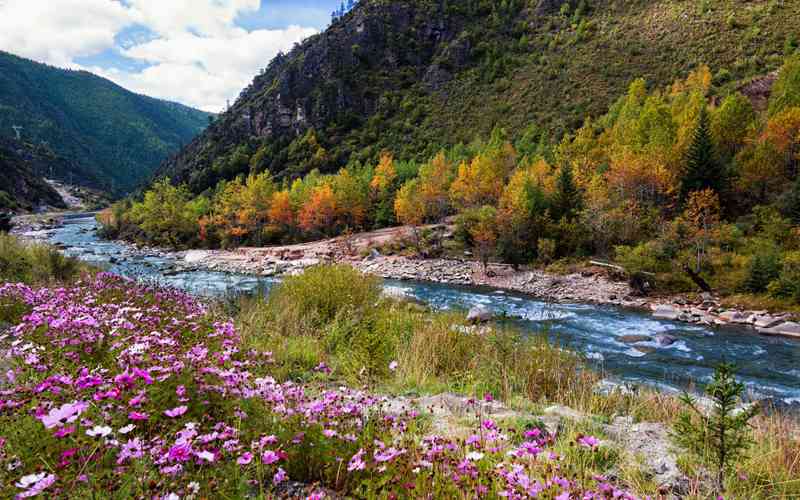婚姻情感出轨的句子 婚姻情感出轨的句子图片？-第3张图片-知姻爱情顾问